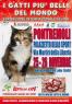 I Gatti Piu' Belli Del Mondo - Esposizione Internazionale Felina, Pontremoli - 25 E 26 Novembre 2017 - Pontremoli (MS)