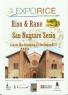 Riso E Rane A San Nazzaro Sesia, Exporice 2017 - San Nazzaro Sesia (NO)