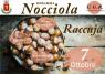 Festa Della Nocciola A Raccuja, 2^ Edizione - 2018 - Raccuja (ME)