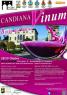 Candiana Vinum, Borgo Del Gusto - Candiana (PD)
