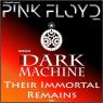 La Musica Dei Pink Floyd Al Teatro Tagliavini Di Novellara, Their Immortal Remains Tour - Novellara (RE)