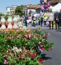 Festa dei Fiori a Spinea, La Strada Fiorita: Mostra Mercato Piante E Fiori - Spinea (VE)