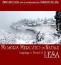 Mostra Mercato Di Natale A Lesa, Bancarelle Natalizie A Lesa - Lesa (NO)