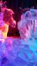 Gaeta World Ice Art Competition, Primo Concorso Internazionale Di Sculture Di Ghiaccio - Gaeta (LT)