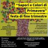 Sapori E Colori Di Primavera, Festa Di Fine Trimestre - Milano (MI)