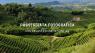 Passeggiata Fotografica Sui Colli Trevigiani , Con Degustazione In Cantina - Nervesa Della Battaglia (TV)