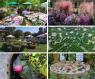 Emilia In Fiore, Eventi Dedicati Al Florovivaismo E Alla Biodiversità Tra Parma, Piacenza E Reggio Emilia -  ()