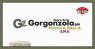 Sagra Del Gorgonzola Dop A Cavallermaggiore, Edizione - 2024 - Cavallermaggiore (CN)