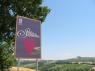 I Weekend Della Strada Del Sagrantino, Edizione 2019 -  (PG)