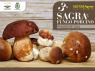 Sagra Del Fungo Porcino A Piaggine, 3 ^ Edizione 2018 - Piaggine (SA)