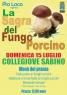 Sagra Dei Funghi Porcini A Collegiove, 3a Edizione - 2019 - Collegiove (RI)