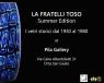 Mostra Itinerante La Fratelli Toso Summer Edition, I Vetri Storici Dal 1930 Al 1980 Arriva A Orta San Giulio - Orta San Giulio (NO)