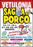 Sagra Del Porco A Vetulonia, Gastronomia Nella Piccola Frazione Di Castiglion Della Pescaia  - Castiglione Della Pescaia (GR)