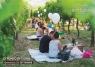 Di Punto In Vigna A Povoletto, Alla Mont'albano Agricola Un Evento Enogastronomico - Povoletto (UD)