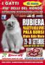 I Gatti Più Belli Del Mondo A Rubiera, Esposizione Internazionale Felina - Rubiera (RE)