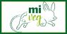 Miveg Il Festival Vegan A Milano, Edizione 2021 - Milano (MI)