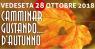 Camminar Gustando ... D'autunno A Vedeseta, Un Percorso Storico, Naturalistico E Gastronomico In Val Taleggio - Vedeseta (BG)