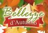 Bellezze D'autunno A Ugento, Con Arte, Cultura, Storia, Tradizioni E Cibo - Ugento (LE)