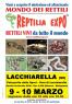 Reptilia Expo - L'affascinante Mondo Dei Rettili A Lacchiarella, Rettili Vivi Da Tutto Il Mondo - Lacchiarella (MI)