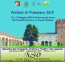 Profumi Di Primavera A Arquà Polesine, Edizione 2019 - Arquà Polesine (RO)