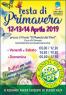 Festa Di Primavera A Montecchio Di Vallefoglia, Edizione 2019 - Vallefoglia (PU)