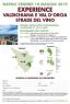 Experience Valdichiana E Val D'orcia Strade Del Vino A Napoli, Incontri Con Degustazione - Napoli (NA)