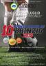 Torneo Di Calcio A 5 A Brinzio, 10° Campionato Amatoriale Di Futsal - Brinzio (VA)