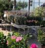Mostra Mercato Di Fiori E Piante A Lazise, Un Lungolago Di Fiori - Lazise (VR)