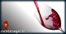 Best Wine A Bassiano, Edizione 2020 - Bassiano (LT)