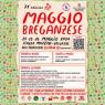 Maggio Breganzese, Edizione 2024 - Breganze (VI)