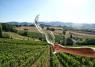 Verdicchio In Festa Tra Le Dolci Colline Rotolanti, Il Grand Tour Delle Marche Fa Tappa A Montecarotto - Montecarotto (AN)