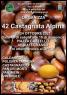 Castagnata Alpina A Abbiategrasso, Castagne E Polenta Taragna - 42ima Edizione - Abbiategrasso (MI)