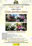 Visita Del Giardino Fatato A Sinagra, Flower Therapy - Pomeriggi Di Benessere Tra I Fiori - Sinagra (ME)