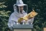 La Vita Delle Api - L'attività Dell'apicoltore, Visita E Degustazione In Azienda Agricola Biologica - Fabriano (AN)