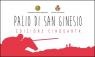 Il Palio Di San Ginesio, 50ima Edizione - 2019 - San Ginesio (MC)