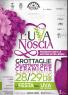 La Festa Dell'uva A Grottaglie, Edizione 2023 - Grottaglie (TA)