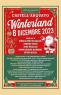 Winterland Il Paese Del Natale A Castell'arquato, Edizione 2023 - Castell'arquato (PC)