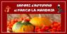 Sapori D'autunno Al Parco La Mandria A Druento, Edizione 2019 - Druento (TO)