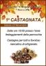 Castagnata A Porcia, 1a Edizione - 2019 - Porcia (PN)