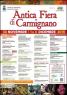 Antica Fiera Di Carmignano, Edizione 2019 - Carmignano (PO)