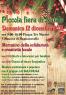 Piccola Fiera Di Natale A Villanova Di Bagnacavallo, Mercatino Della Solidarietà, Dei Prodotti Tipici E Creativi Locali - Bagnacavallo (RA)