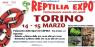 Reptilia Expo - L'affascinante Mondo Dei Rettili A Torino, Serpenti E Rettili Da Tutto Il Mondo In Mostra A Torino - Torino (TO)