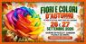 Mostra Mercato Fiori E Colori A Piazzola Sul Brenta, Mercato Di Fiori Piante Insolite E Rare Idee Per Il Giardino - Piazzola Sul Brenta (PD)