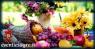Mercato Settimanale Di Lonate Pozzolo, Il Luogo In Cui Trovare Ortaggi, Frutta E Verdura, Gastronomia, Prodotti Del Territorio - Lonate Pozzolo (VA)