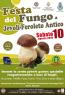 Festa Del Fungo A Feroleto Antico, Edizione 2019 - Feroleto Antico (CZ)