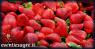 Mercato Settimanale Di Tropea, Il Luogo In Cui Trovare Ortaggi, Frutta E Verdura, Gastronomia, Prodotti Del Territorio - Tropea (VV)
