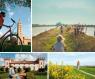 In Bici Nel Ferrarese, Escursioni Su Due Ruote Tra Natura, Arte, Cultura E Enogastronomia - Ferrara (FE)