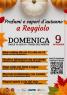 Festa D'autunno A Reggiolo, Mercato Straordinario, Stand Gastronomici, Negozi Aperti E Bancarelle - Reggiolo (RE)