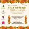 La Festa Dei Funghi Al Parco La Mandria, Edizione 2022 - Druento (TO)