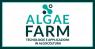Algaefarm A Pordenone, Tecnologie E Applicazioni In Algocoltura - Pordenone (PN)